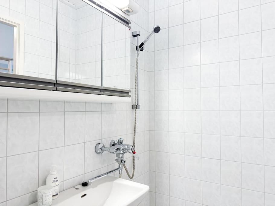 Rovaniemi City Apartment